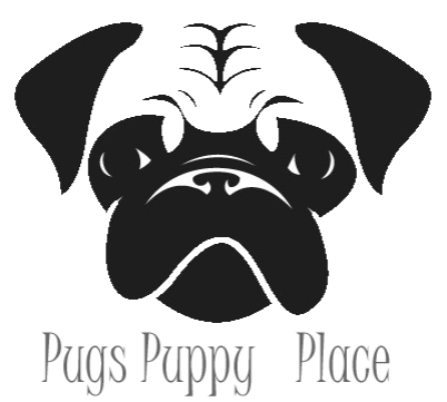 Pugs puppy place